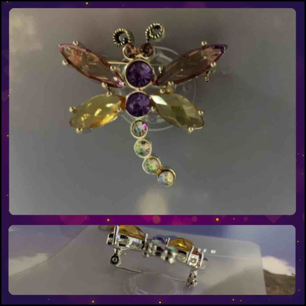 Beautiful Dragonfly brooche